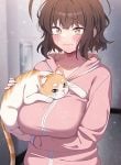 The Love Meowtchmaker manga free